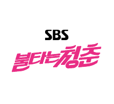 실시간 티비 채널 SBS 불타는 청춘