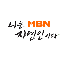 실시간 티비 채널 MBN 나는 자연인이다